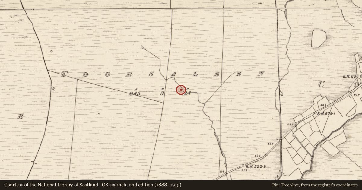 Ordnance Survey six-inch map, 2nd edition (1888–1915) covering the location of Hut site, Tuar Sáilín, County Kerry, with a pin at the register's coordinates