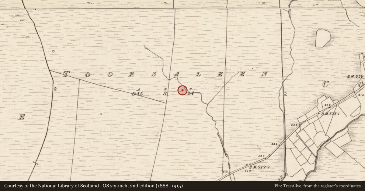 Ordnance Survey six-inch map, 2nd edition (1888–1915) covering the location of Field boundary, Tuar Sáilín, County Kerry, with a pin at the register's coordinates
