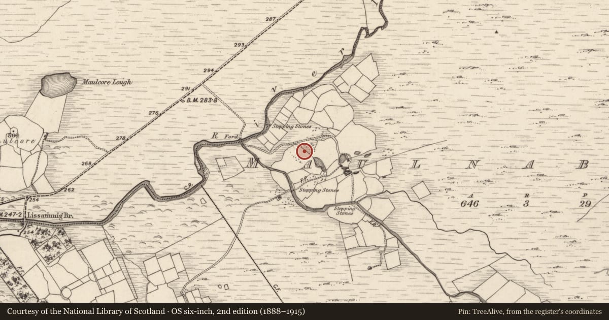 Ordnance Survey six-inch map, 2nd edition (1888–1915) covering the location of Enclosure, Meall Na Mbreac, County Kerry, with a pin at the register's coordinates