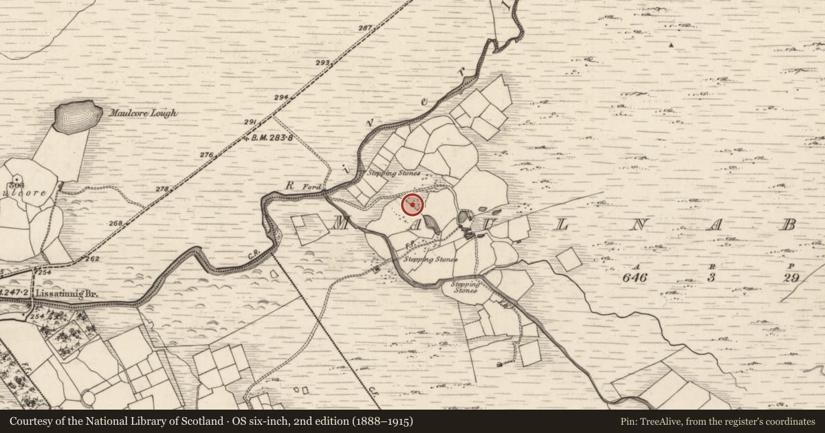 Ordnance Survey six-inch map, 2nd edition (1888–1915) covering the location of Souterrain, Meall Na Mbreac, County Kerry, with a pin at the register's coordinates