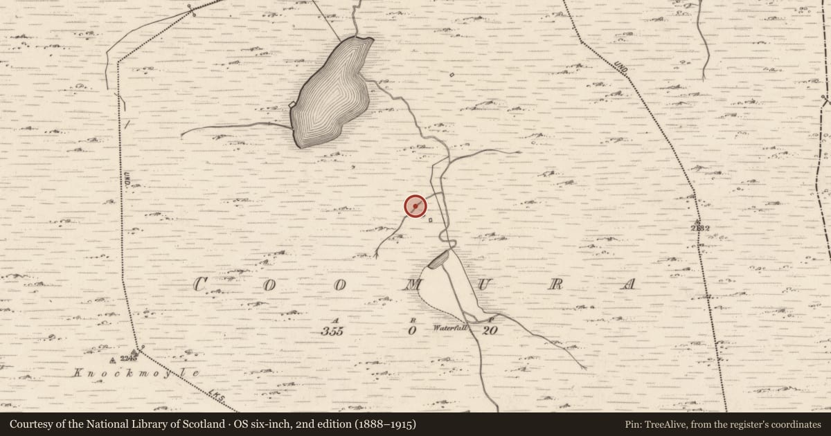 Ordnance Survey six-inch map, 2nd edition (1888–1915) covering the location of Sweathouse, Com Úra, County Kerry, with a pin at the register's coordinates