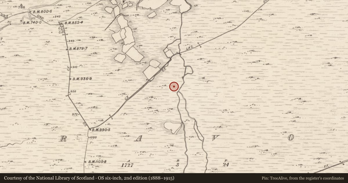 Ordnance Survey six-inch map, 2nd edition (1888–1915) covering the location of Fulacht fia, Curravoola, County Kerry, with a pin at the register's coordinates