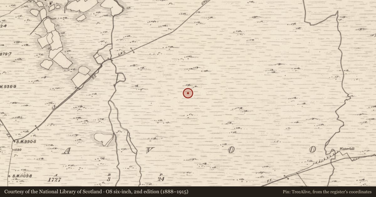 Ordnance Survey six-inch map, 2nd edition (1888–1915) covering the location of Hut site, Curravoola, County Kerry, with a pin at the register's coordinates