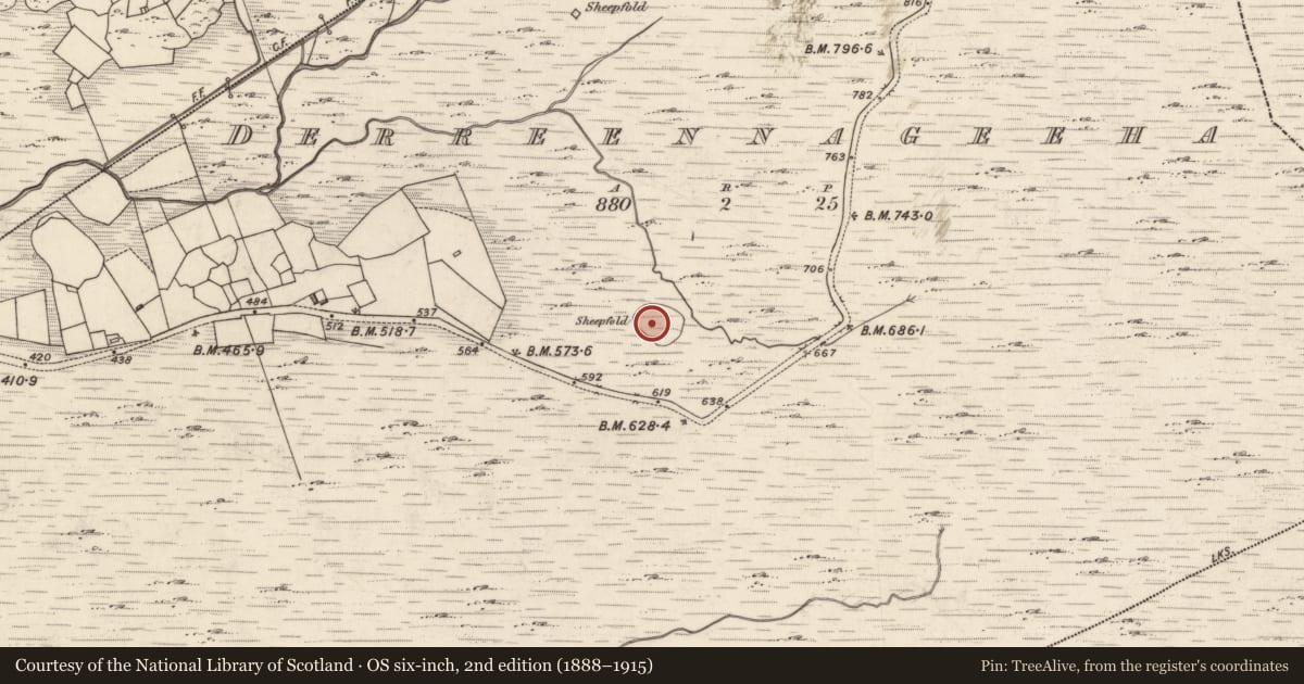 Ordnance Survey six-inch map, 2nd edition (1888–1915) covering the location of Enclosure, Derreennageeha, County Kerry, with a pin at the register's coordinates