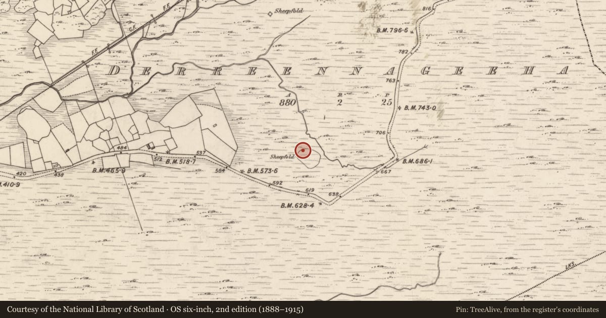 Ordnance Survey six-inch map, 2nd edition (1888–1915) covering the location of Hut site, Derreennageeha, County Kerry, with a pin at the register's coordinates