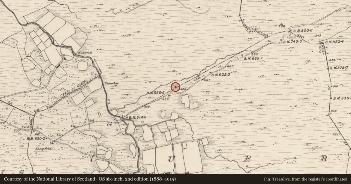 Ordnance Survey six-inch map, 2nd edition (1888–1915) covering the location of Field boundary, Curravoola, Meall Na Mbreac, County Kerry, with a pin at the register's coordinates