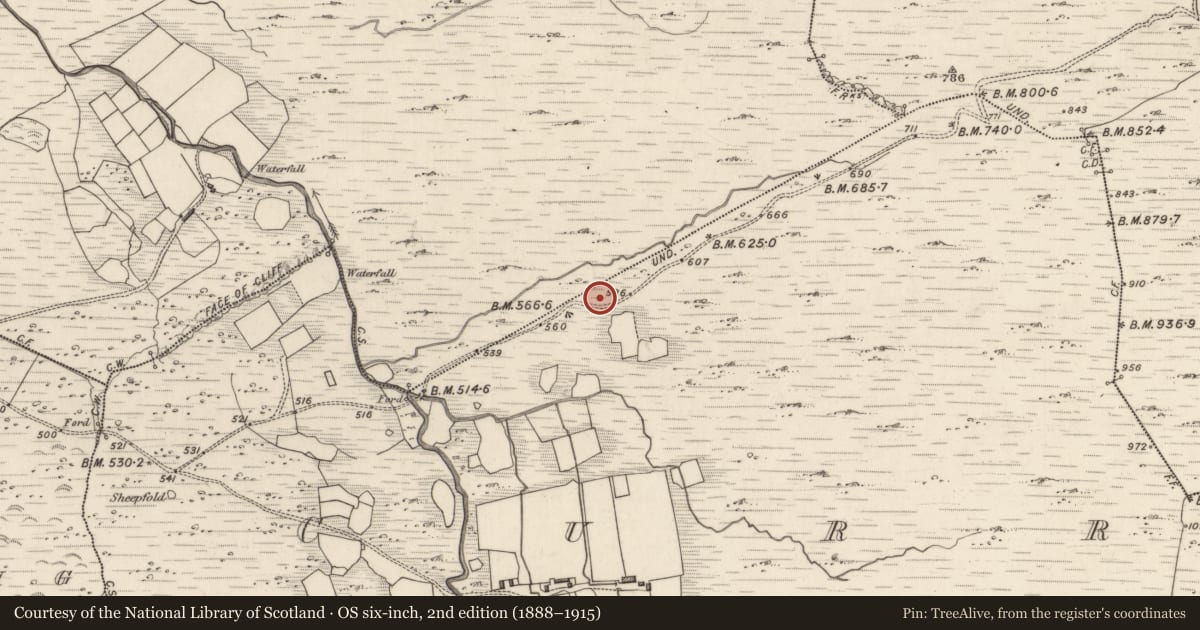 Ordnance Survey six-inch map, 2nd edition (1888–1915) covering the location of Enclosure, Curravoola, County Kerry, with a pin at the register's coordinates