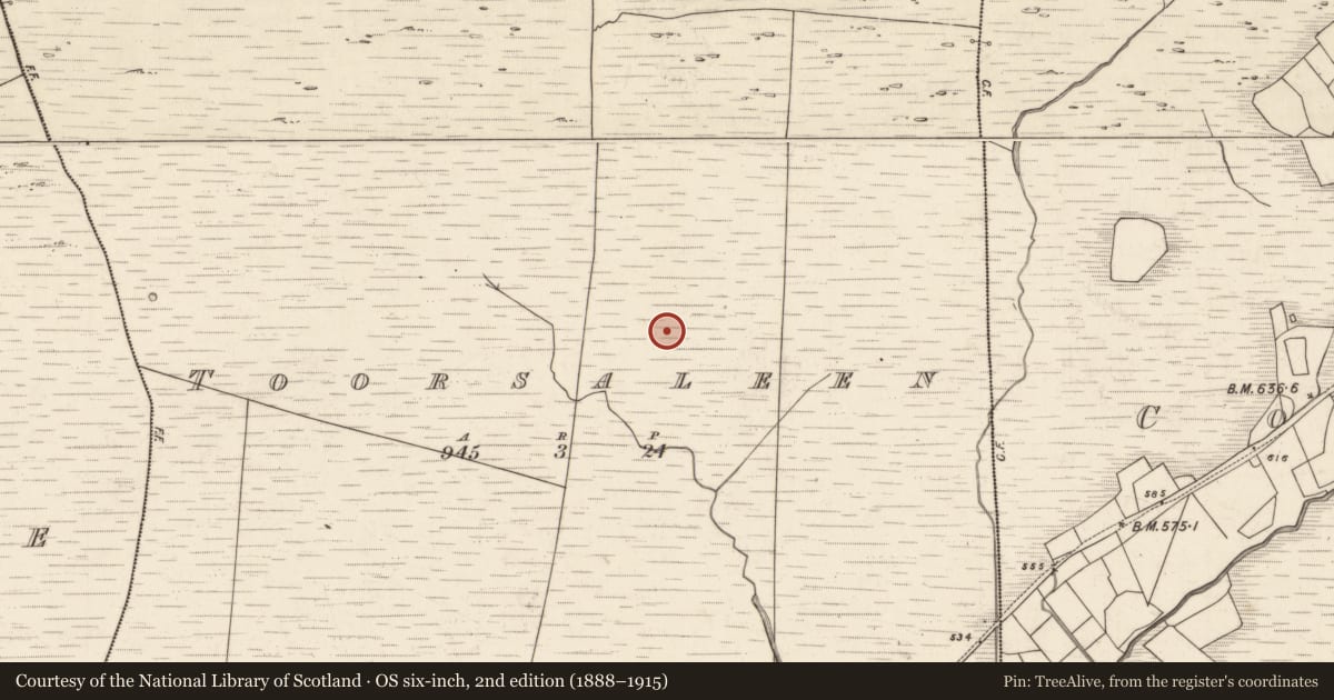 Ordnance Survey six-inch map, 2nd edition (1888–1915) covering the location of Field boundary, Tuar Sáilín, County Kerry, with a pin at the register's coordinates