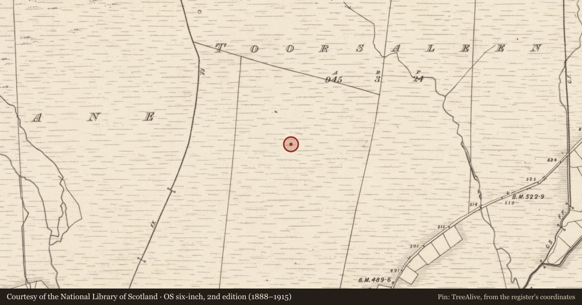 Ordnance Survey six-inch map, 2nd edition (1888–1915) covering the location of Hut site, Tuar Sáilín, County Kerry, with a pin at the register's coordinates