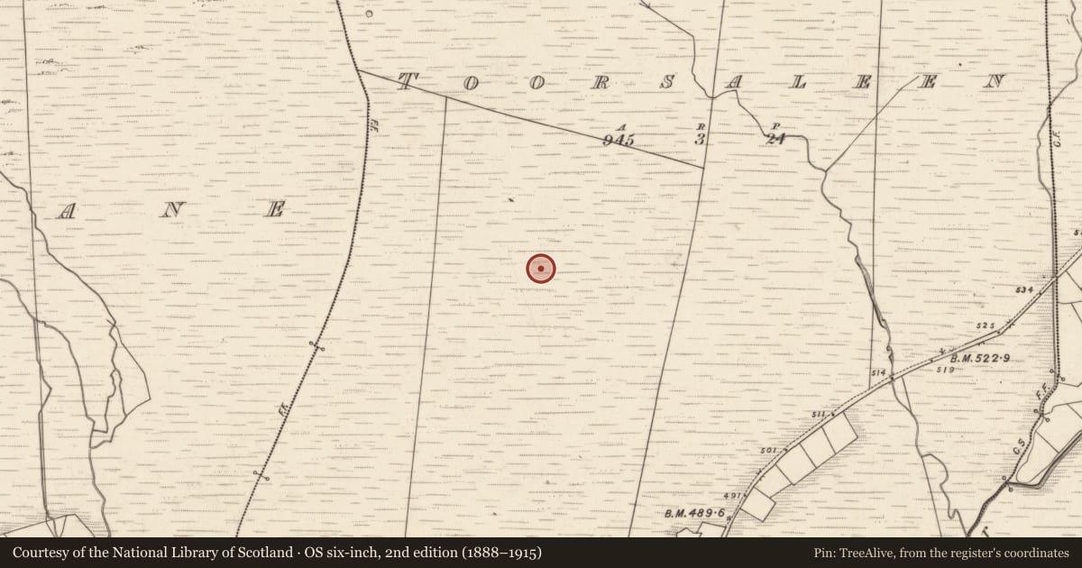 Ordnance Survey six-inch map, 2nd edition (1888–1915) covering the location of Hut site, Tuar Sáilín, County Kerry, with a pin at the register's coordinates