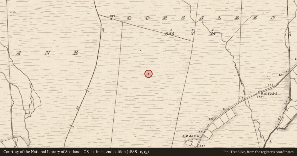 Ordnance Survey six-inch map, 2nd edition (1888–1915) covering the location of Hut site, Tuar Sáilín, County Kerry, with a pin at the register's coordinates