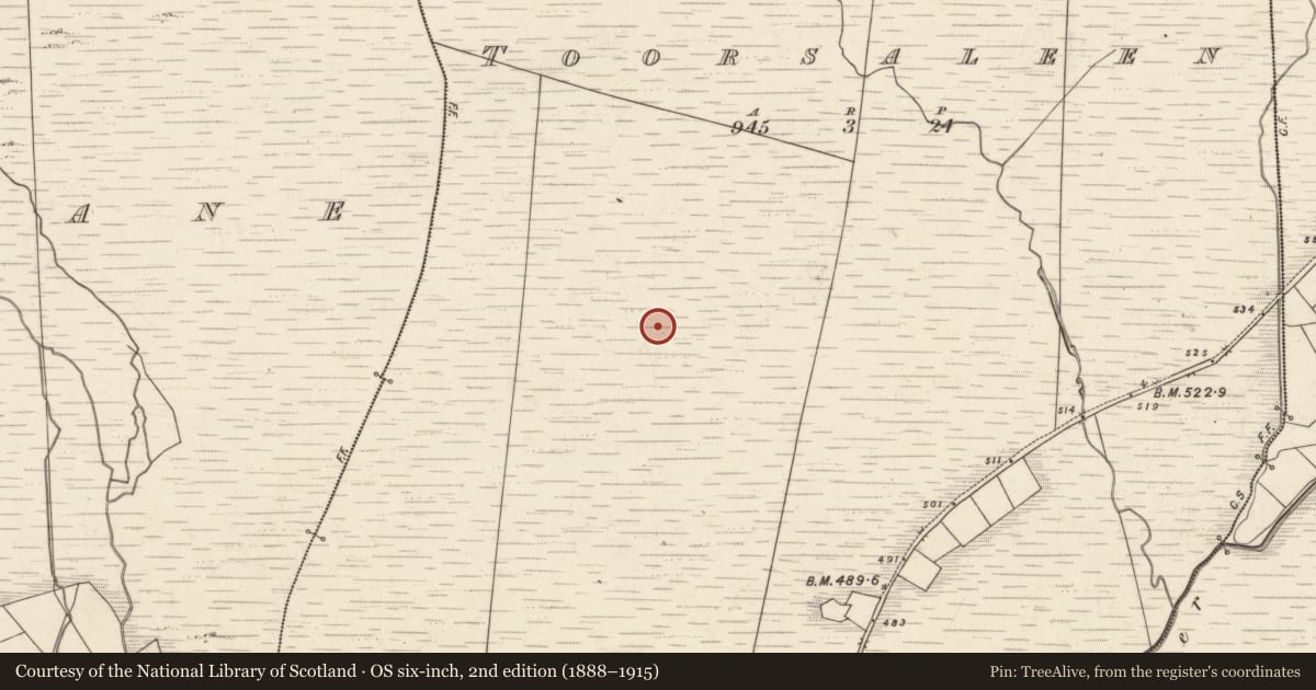 Ordnance Survey six-inch map, 2nd edition (1888–1915) covering the location of Hut site, Tuar Sáilín, County Kerry, with a pin at the register's coordinates