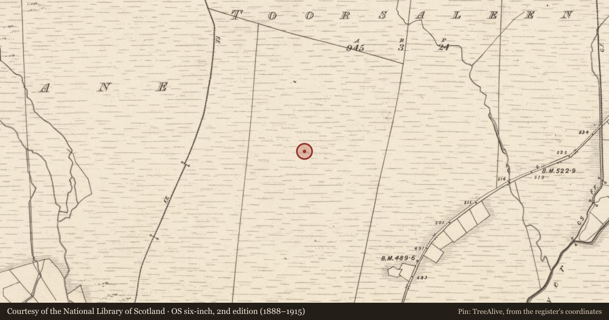 Ordnance Survey six-inch map, 2nd edition (1888–1915) covering the location of Hut site, Tuar Sáilín, County Kerry, with a pin at the register's coordinates
