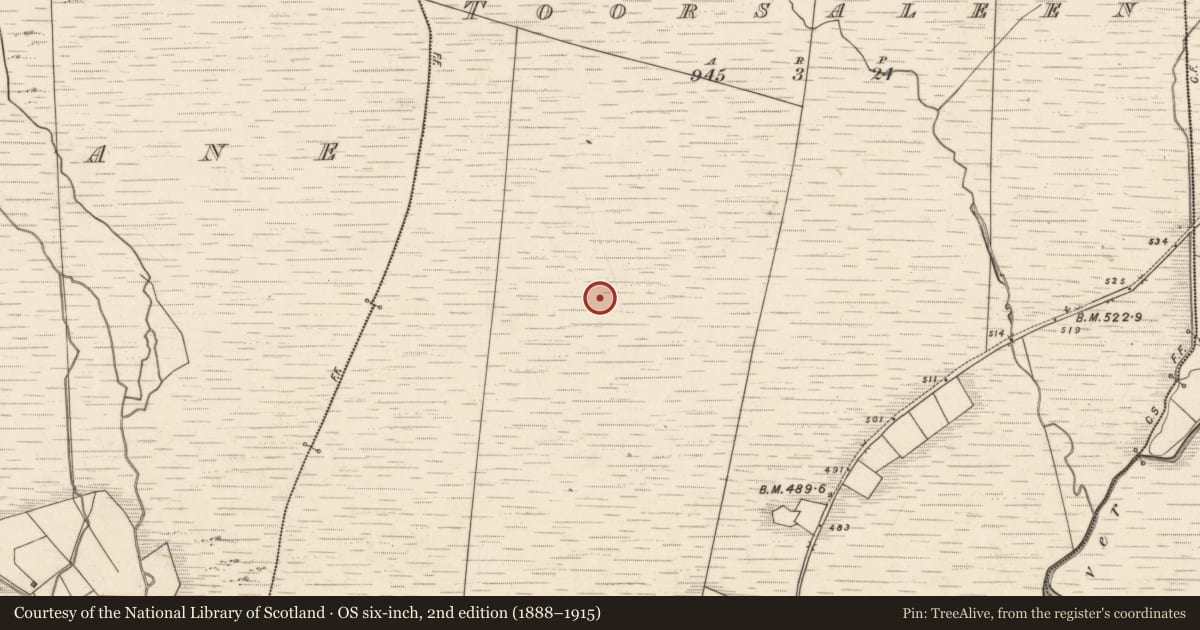 Ordnance Survey six-inch map, 2nd edition (1888–1915) covering the location of Hut site, Tuar Sáilín, County Kerry, with a pin at the register's coordinates