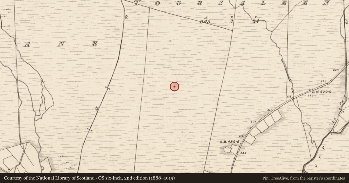 Ordnance Survey six-inch map, 2nd edition (1888–1915) covering the location of Hut site, Tuar Sáilín, County Kerry, with a pin at the register's coordinates