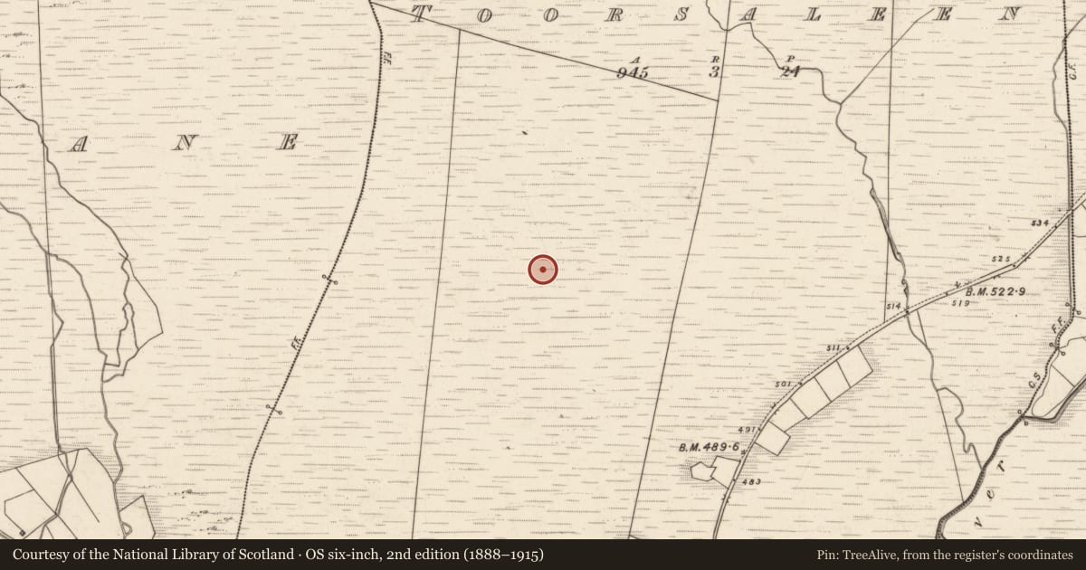 Ordnance Survey six-inch map, 2nd edition (1888–1915) covering the location of Hut site, Tuar Sáilín, County Kerry, with a pin at the register's coordinates