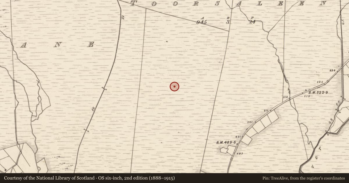 Ordnance Survey six-inch map, 2nd edition (1888–1915) covering the location of Hut site, Tuar Sáilín, County Kerry, with a pin at the register's coordinates