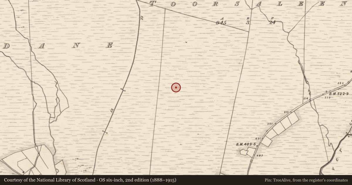Ordnance Survey six-inch map, 2nd edition (1888–1915) covering the location of Fulacht fia, Tuar Sáilín, County Kerry, with a pin at the register's coordinates