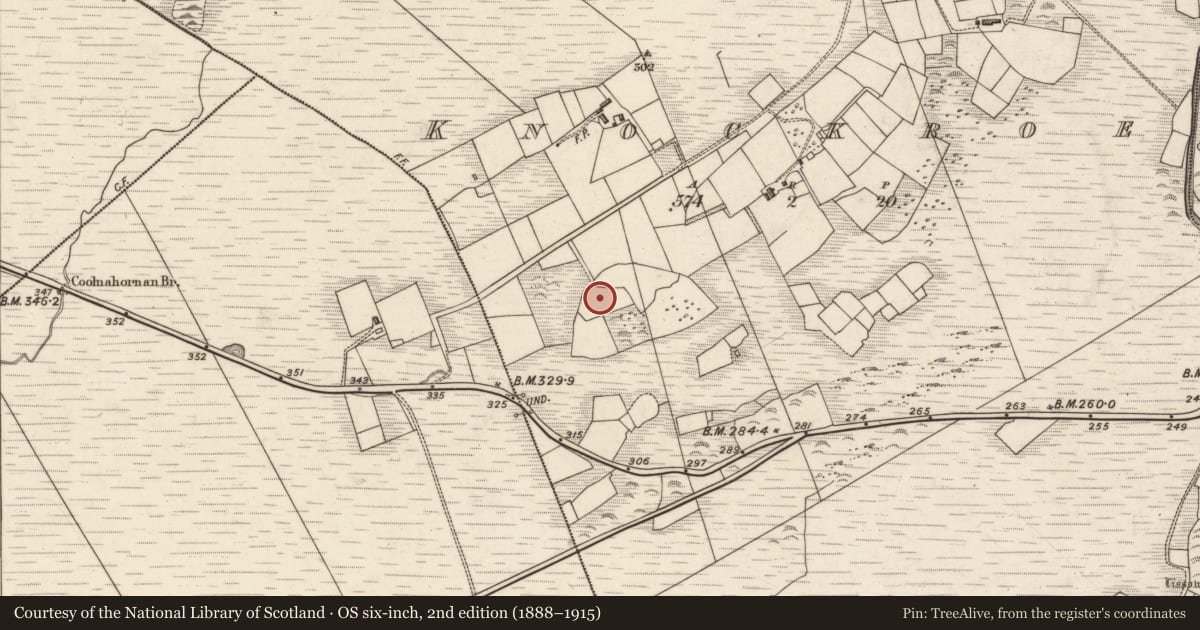 Ordnance Survey six-inch map, 2nd edition (1888–1915) covering the location of Standing stone, Knockroe, County Kerry, with a pin at the register's coordinates