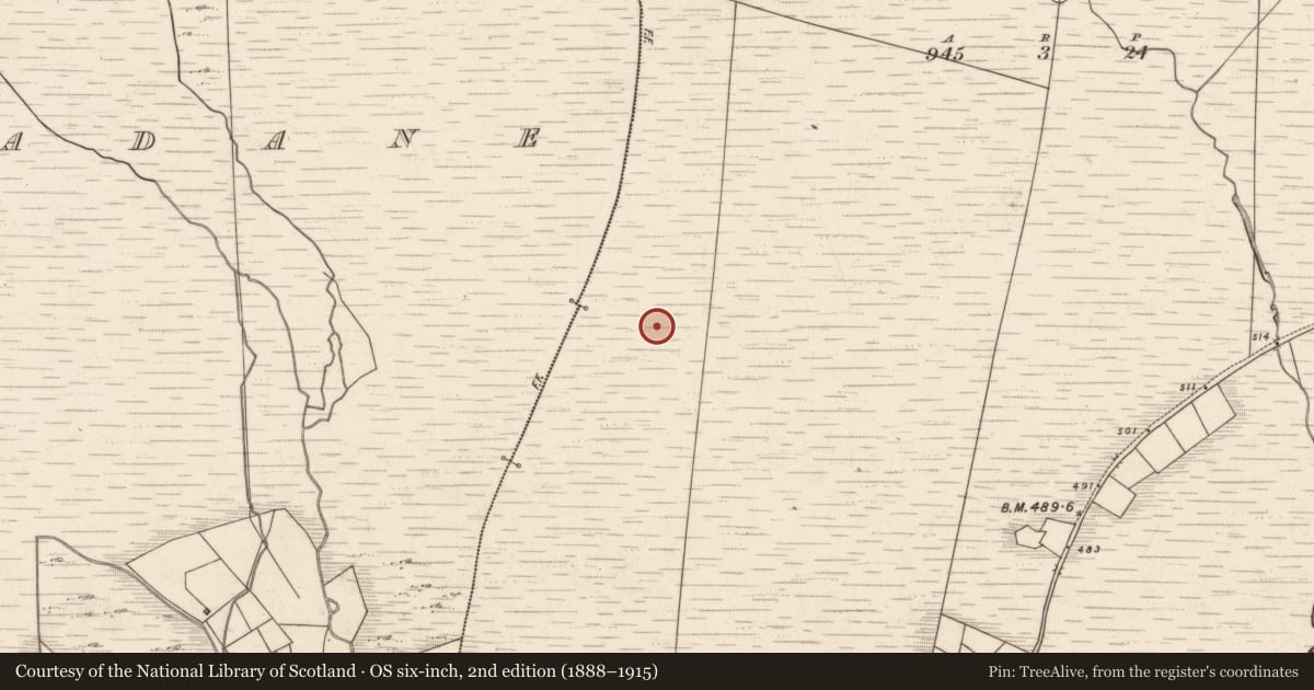 Ordnance Survey six-inch map, 2nd edition (1888–1915) covering the location of Field boundary, Tuar Sáilín, County Kerry, with a pin at the register's coordinates