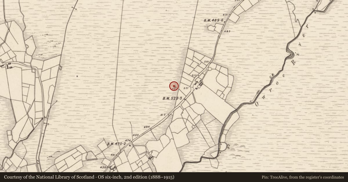 Ordnance Survey six-inch map, 2nd edition (1888–1915) covering the location of Cairn - unclassified, Tuar Sáilín, County Kerry, with a pin at the register's coordinates