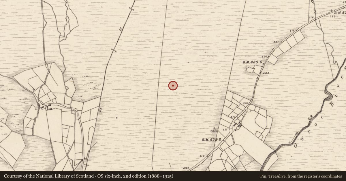 Ordnance Survey six-inch map, 2nd edition (1888–1915) covering the location of Field system, Tuar Sáilín, County Kerry, with a pin at the register's coordinates