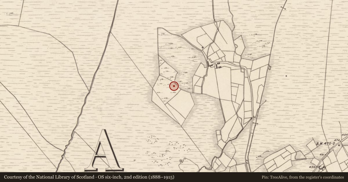 Ordnance Survey six-inch map, 2nd edition (1888–1915) covering the location of Rock art, Tuar An Chladáin, County Kerry, with a pin at the register's coordinates