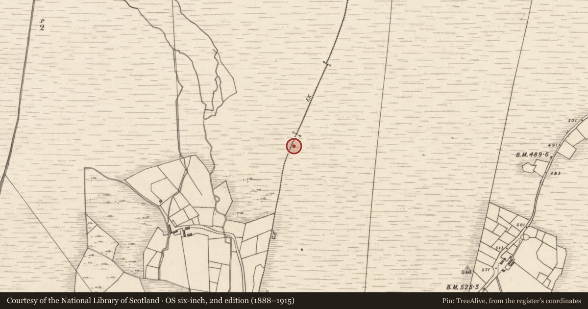 Ordnance Survey six-inch map, 2nd edition (1888–1915) covering the location of Field boundary, Tuar Sáilín, County Kerry, with a pin at the register's coordinates