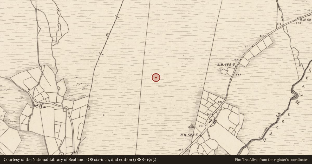Ordnance Survey six-inch map, 2nd edition (1888–1915) covering the location of Field system, Tuar Sáilín, County Kerry, with a pin at the register's coordinates