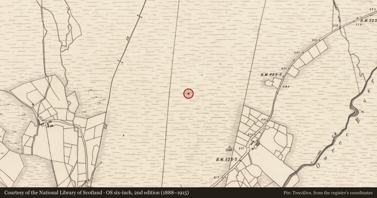 Ordnance Survey six-inch map, 2nd edition (1888–1915) covering the location of Enclosure, Tuar Sáilín, County Kerry, with a pin at the register's coordinates