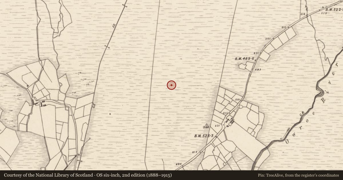 Ordnance Survey six-inch map, 2nd edition (1888–1915) covering the location of Enclosure, Tuar Sáilín, County Kerry, with a pin at the register's coordinates