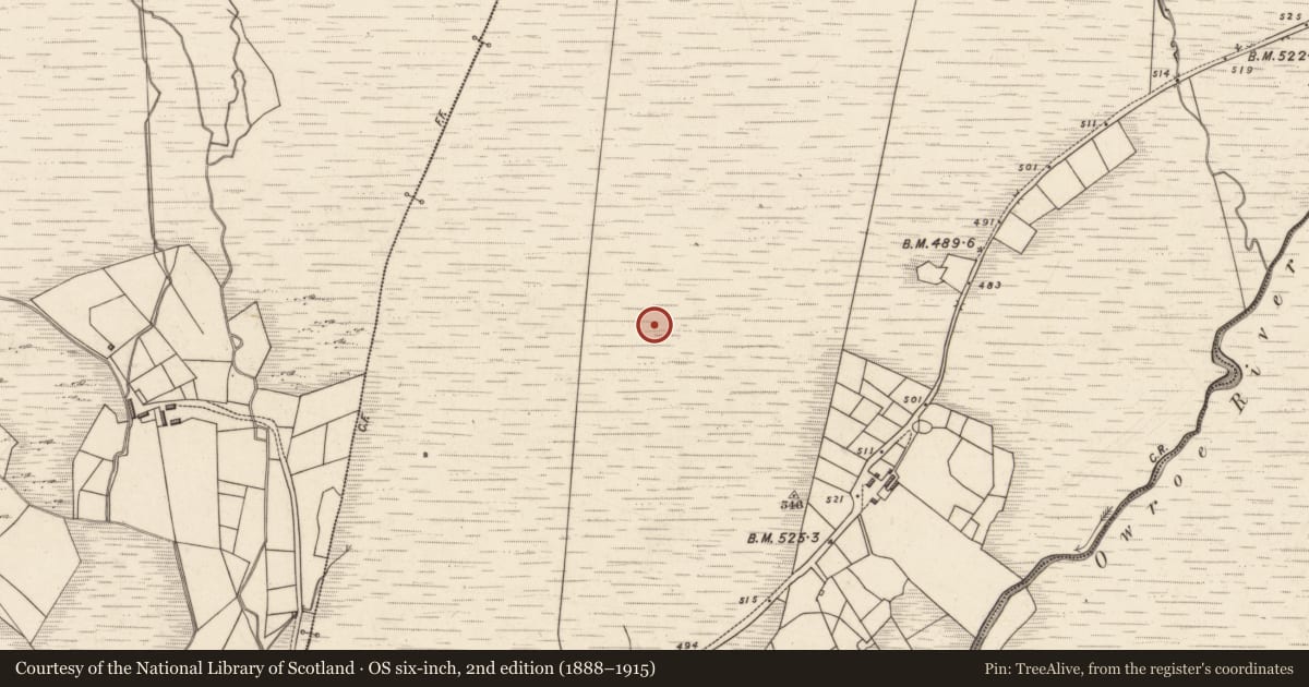Ordnance Survey six-inch map, 2nd edition (1888–1915) covering the location of Hut site, Tuar Sáilín, County Kerry, with a pin at the register's coordinates