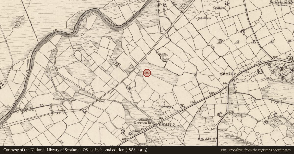 Ordnance Survey six-inch map, 2nd edition (1888–1915) covering the location of Rock art, Derreen, County Kerry, with a pin at the register's coordinates