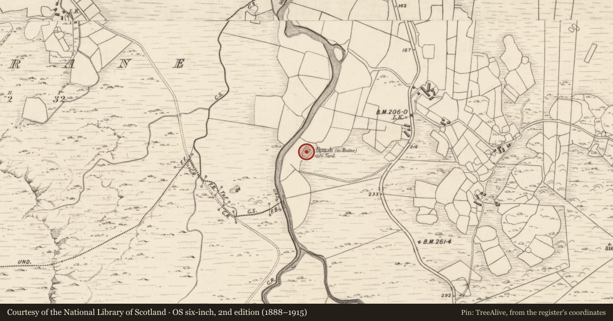 Ordnance Survey six-inch map, 2nd edition (1888–1915) covering the location of Graveyard, Shronahiree More, County Kerry, with a pin at the register's coordinates