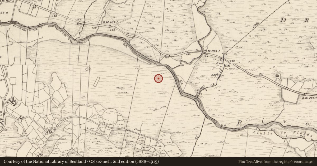 Ordnance Survey six-inch map, 2nd edition (1888–1915) covering the location of Rock art, Shronahiree More, County Kerry, with a pin at the register's coordinates