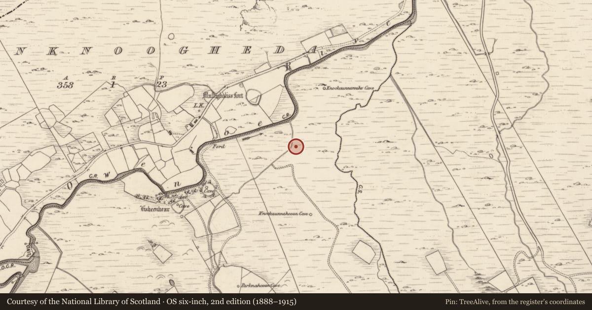 Ordnance Survey six-inch map, 2nd edition (1888–1915) covering the location of Field boundary, Cloghera More, County Kerry, with a pin at the register's coordinates