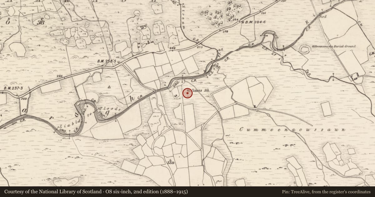 Ordnance Survey six-inch map, 2nd edition (1888–1915) covering the location of Fulacht fia, Dromteewakeen, County Kerry, with a pin at the register's coordinates