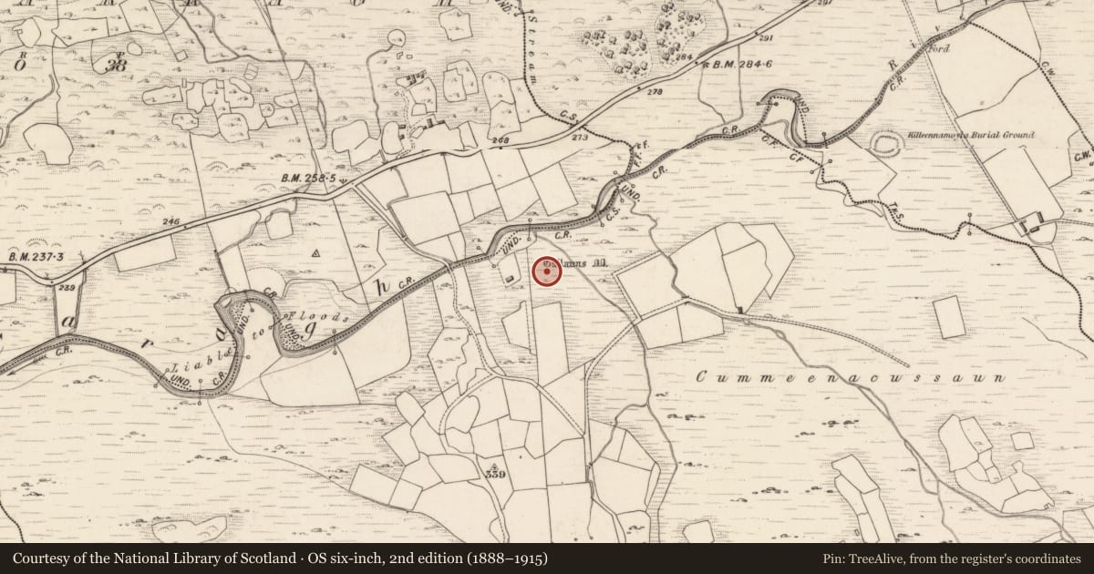 Ordnance Survey six-inch map, 2nd edition (1888–1915) covering the location of Fulacht fia, Dromteewakeen, County Kerry, with a pin at the register's coordinates