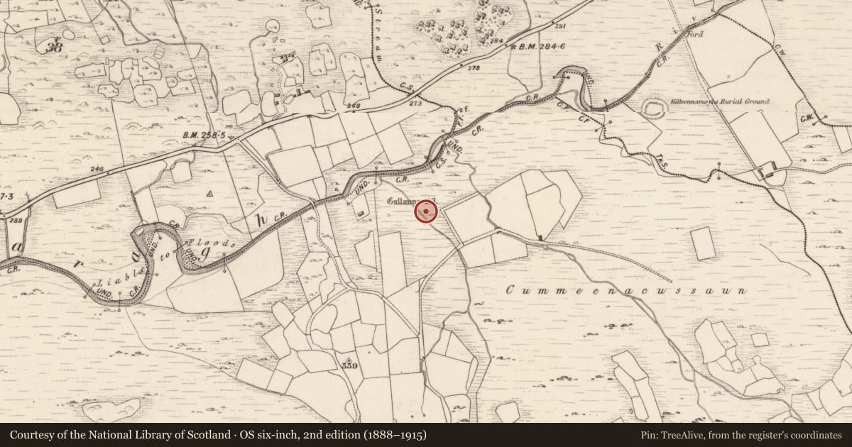 Ordnance Survey six-inch map, 2nd edition (1888–1915) covering the location of Burnt spread, Dromteewakeen, County Kerry, with a pin at the register's coordinates