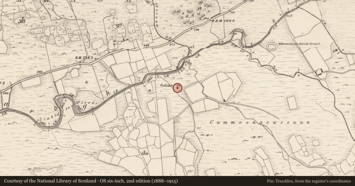 Ordnance Survey six-inch map, 2nd edition (1888–1915) covering the location of Stone row, Dromteewakeen, County Kerry, with a pin at the register's coordinates