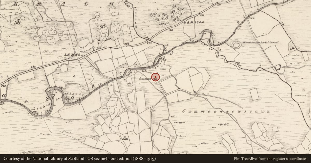 Ordnance Survey six-inch map, 2nd edition (1888–1915) covering the location of Boulder-burial, Dromteewakeen, County Kerry, with a pin at the register's coordinates