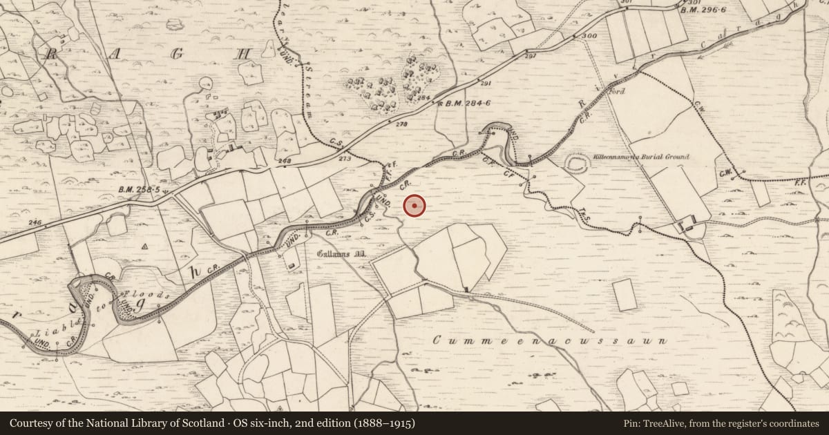Ordnance Survey six-inch map, 2nd edition (1888–1915) covering the location of Burnt spread, Dromteewakeen, County Kerry, with a pin at the register's coordinates