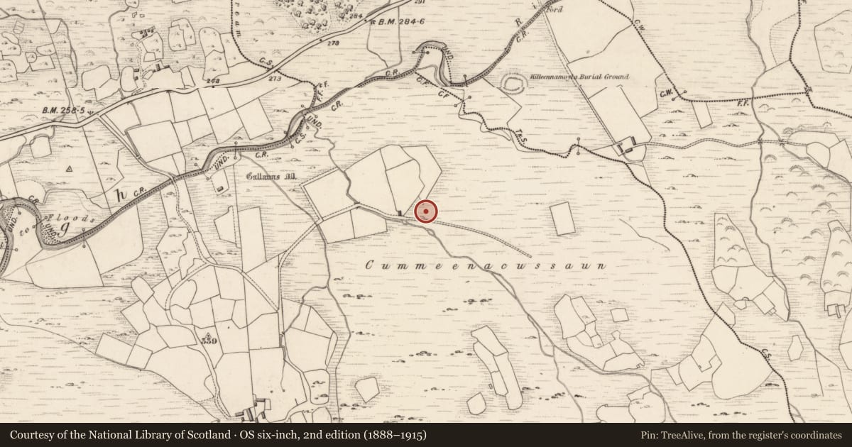 Ordnance Survey six-inch map, 2nd edition (1888–1915) covering the location of Field boundary, Dromteewakeen, County Kerry, with a pin at the register's coordinates