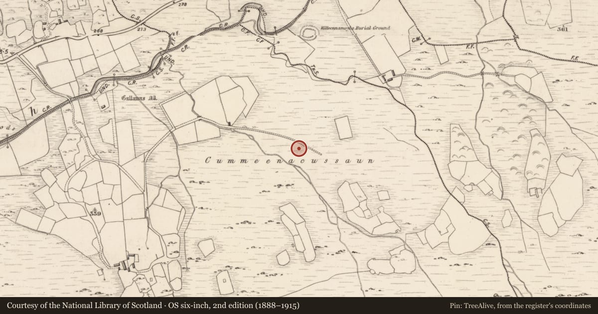 Ordnance Survey six-inch map, 2nd edition (1888–1915) covering the location of Road - gravel/stone trackway - peatland, Dromteewakeen, County Kerry, with a pin at the register's coordinates