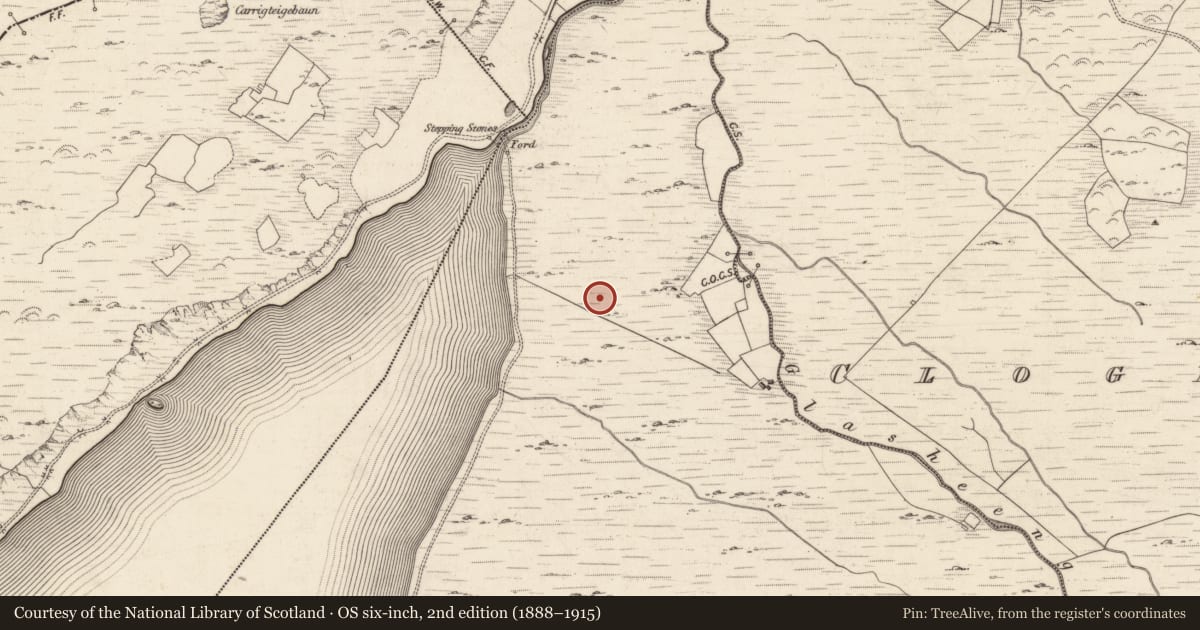 Ordnance Survey six-inch map, 2nd edition (1888–1915) covering the location of Field boundary, Cloon East, County Kerry, with a pin at the register's coordinates