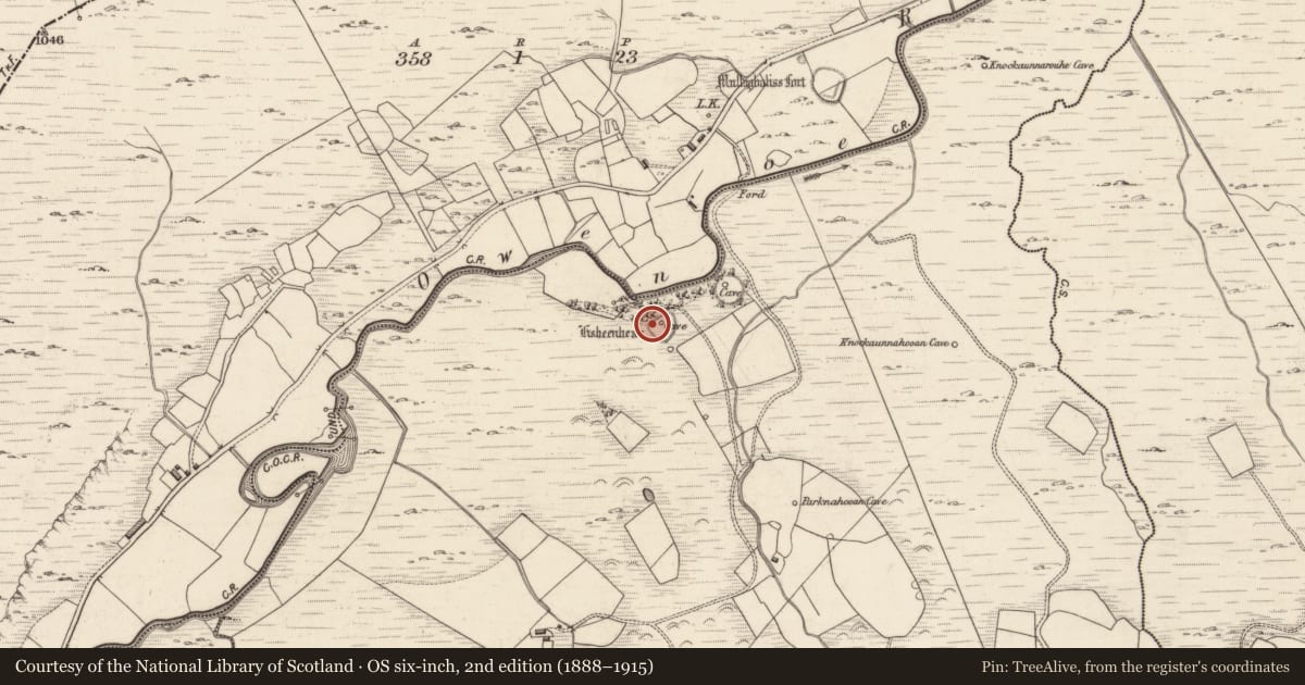 Ordnance Survey six-inch map, 2nd edition (1888–1915) covering the location of Souterrain, Cloghera More, County Kerry, with a pin at the register's coordinates