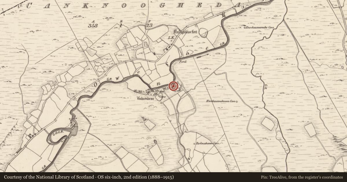 Ordnance Survey six-inch map, 2nd edition (1888–1915) covering the location of Souterrain, Cloghera More, County Kerry, with a pin at the register's coordinates