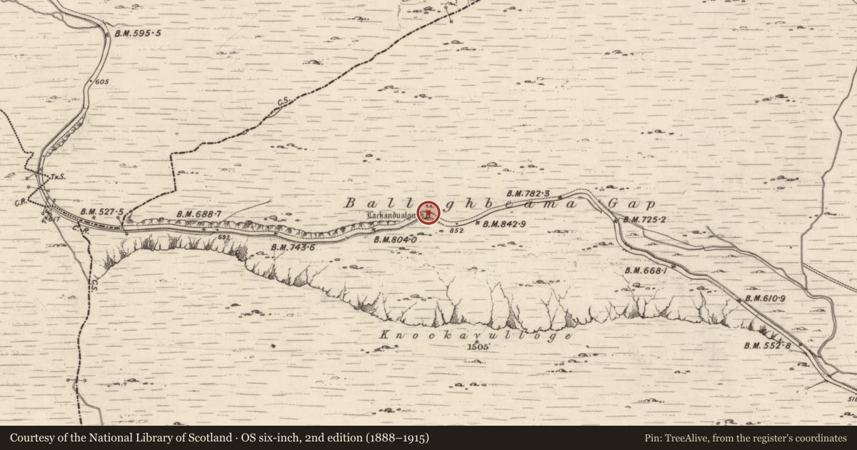 Ordnance Survey six-inch map, 2nd edition (1888–1915) covering the location of Cairn - unclassified, Derrynablaha, County Kerry, with a pin at the register's coordinates