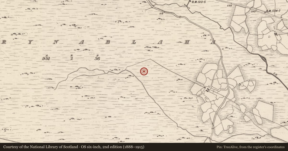 Ordnance Survey six-inch map, 2nd edition (1888–1915) covering the location of Rock art, Derrynablaha, County Kerry, with a pin at the register's coordinates