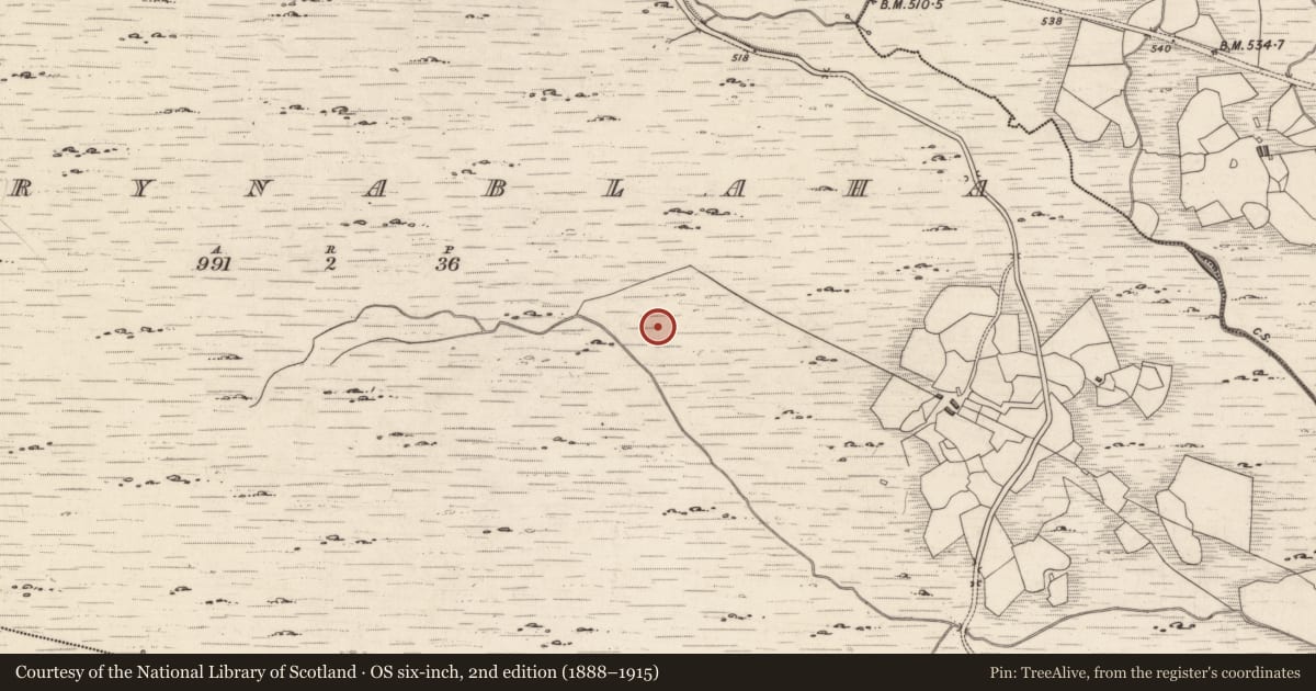 Ordnance Survey six-inch map, 2nd edition (1888–1915) covering the location of Rock art, Derrynablaha, County Kerry, with a pin at the register's coordinates